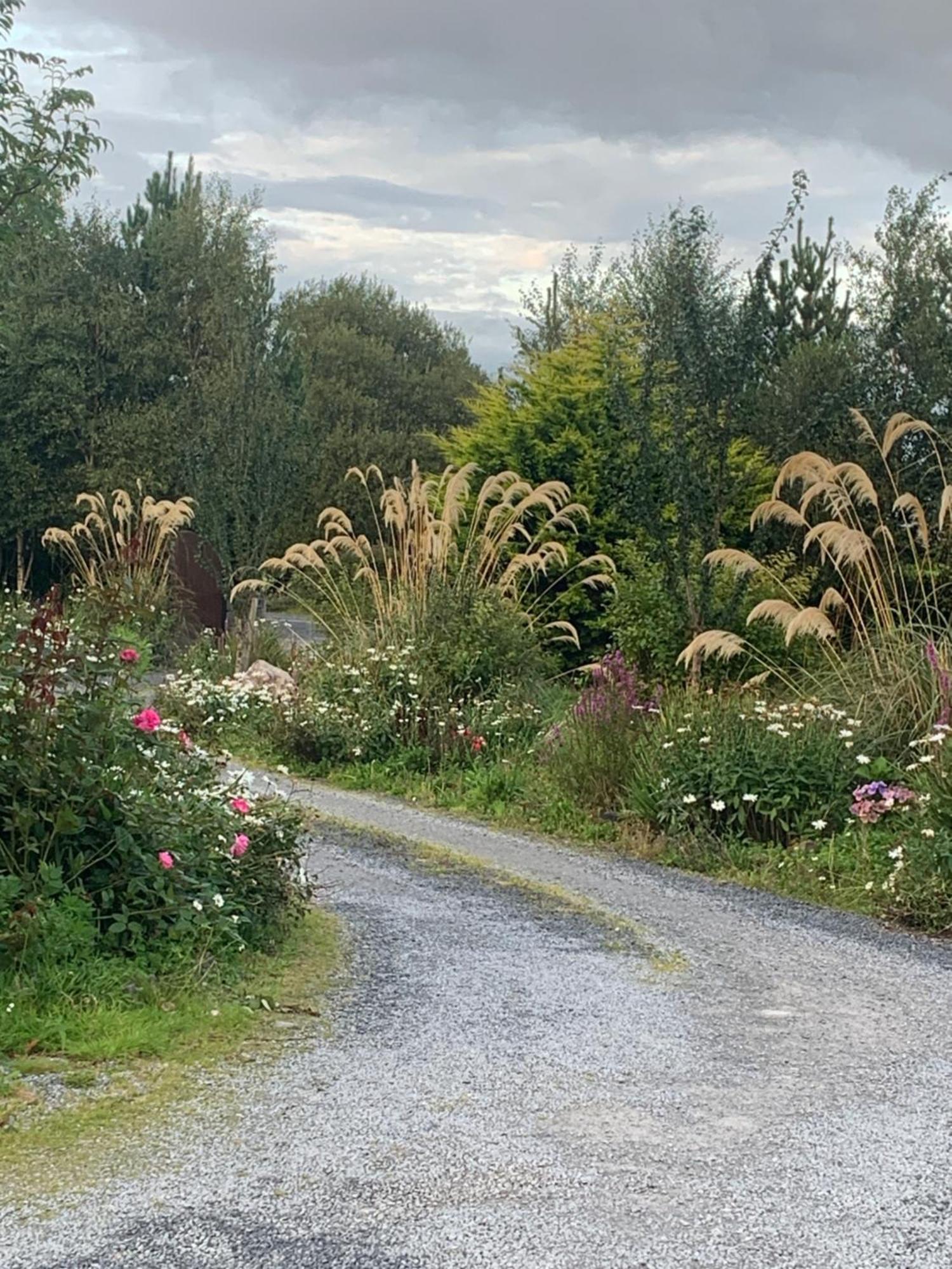 Isserkelly House Clonbur Eksteriør billede